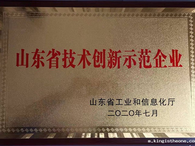 山东省技术创新示范企业（2020）